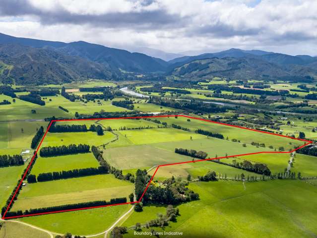 277a Woodside Road Greytown_1