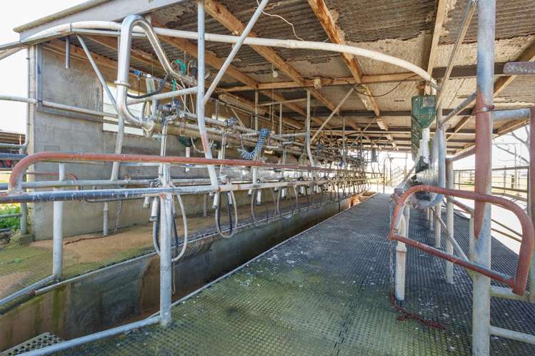 97 Herbert Road Morrinsville_24