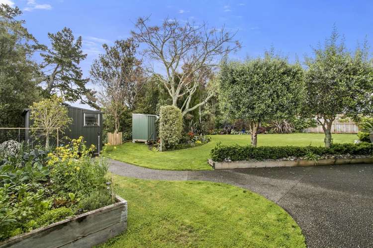 67 Highfields Drive Katikati_1