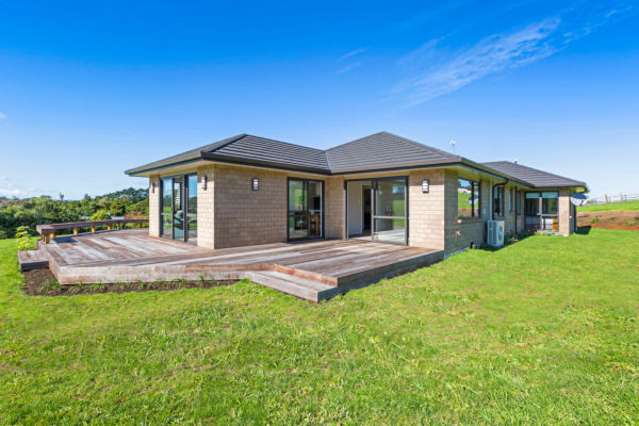 195 Cameron Town Road Pukekohe_2