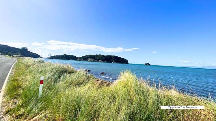 15 Seddon Street Puponga_7
