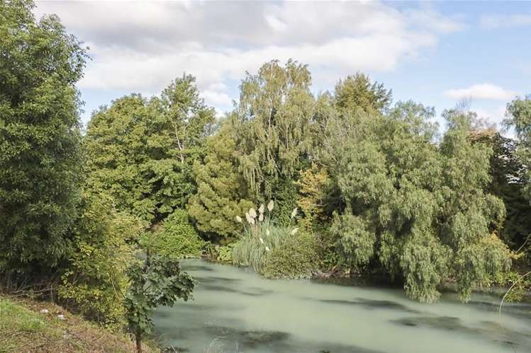 41 Elizabeth Street Riversdale_3