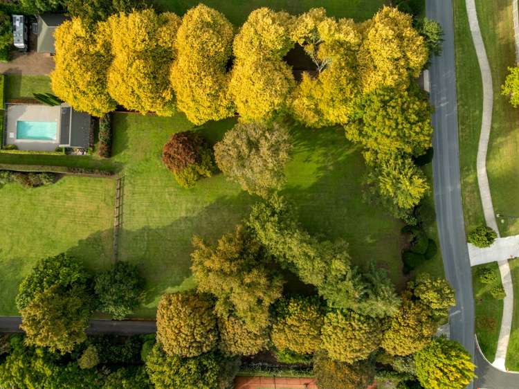 59c Western Avenue Omokoroa_17