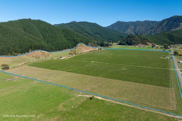 95 Speeds Road Koromiko_6