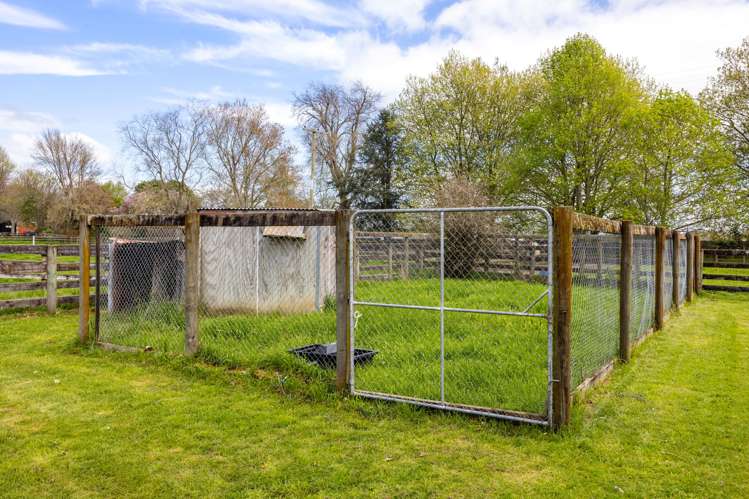 1212 Kaipaki Road Cambridge_23