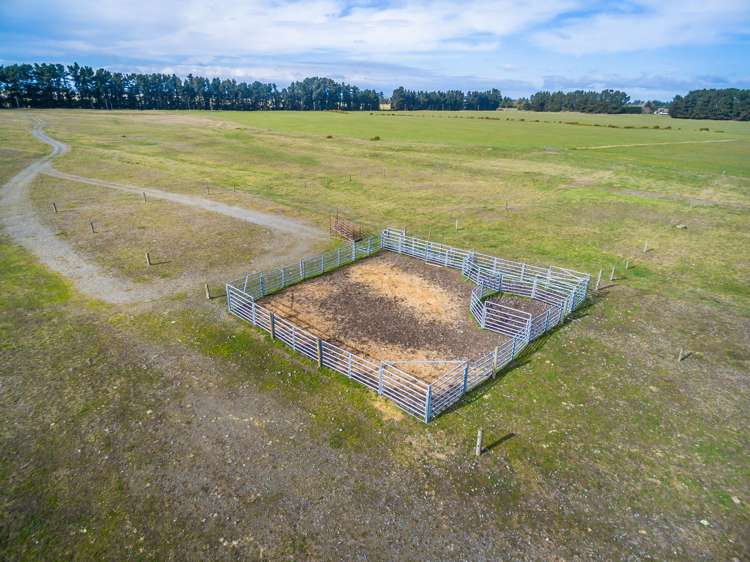 262 Chattertons Road McLeans Island_9