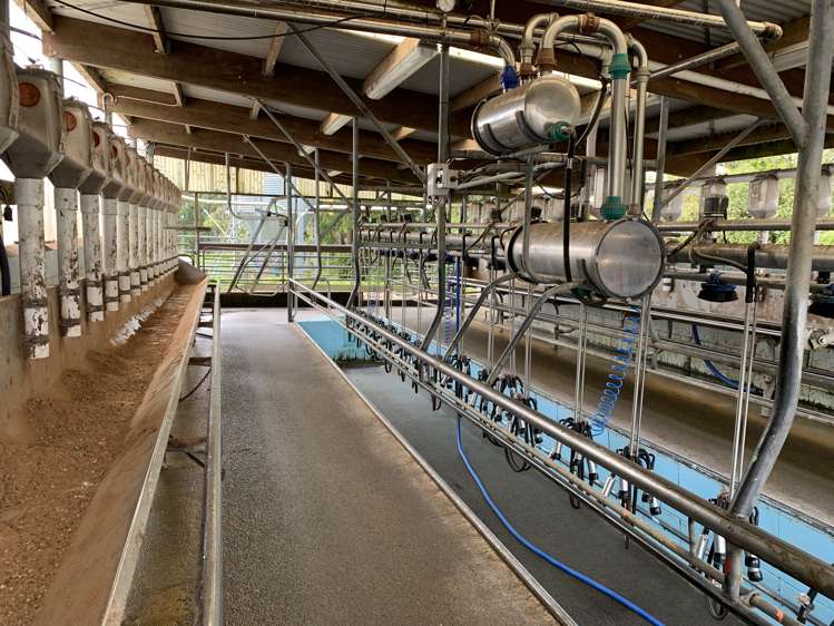 503 York Road Midhirst_14