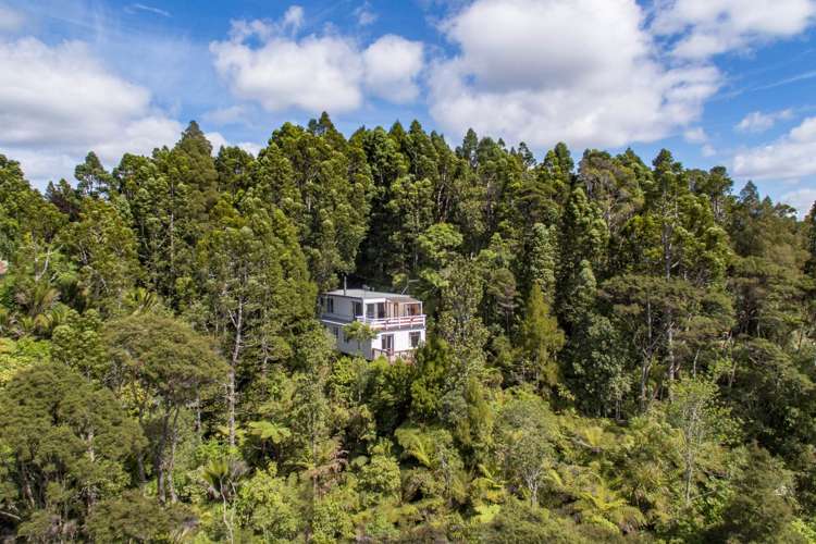 74 Park Road Titirangi_16