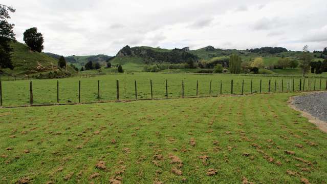 450 Ramaroa Road Aria_2