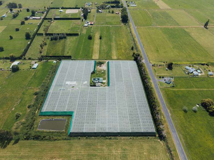 206 Awaiti South Road Otakiri_12