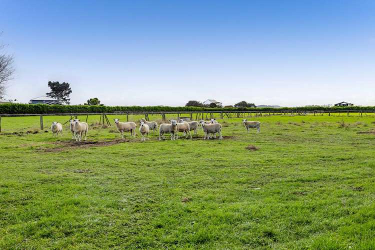 4 Kerry Lane Hawera_28