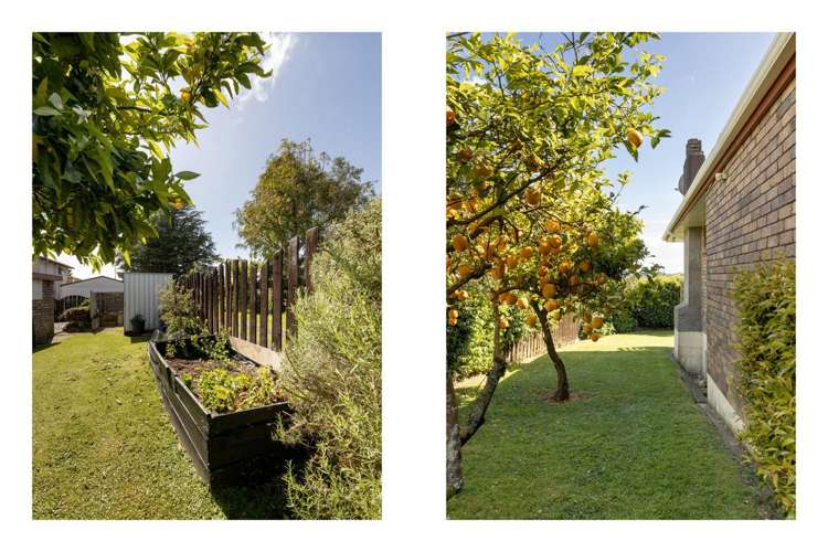 3 Cambridge Road Judea_24