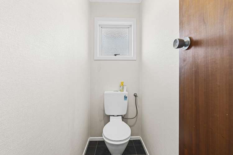 12 Saxton Road Upper Vogeltown_16