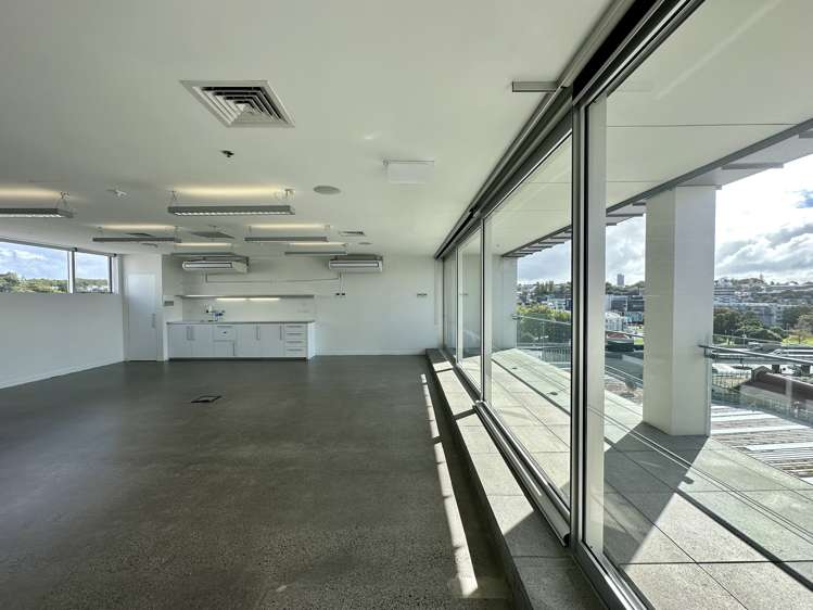 22 Centre Street Freemans Bay_1