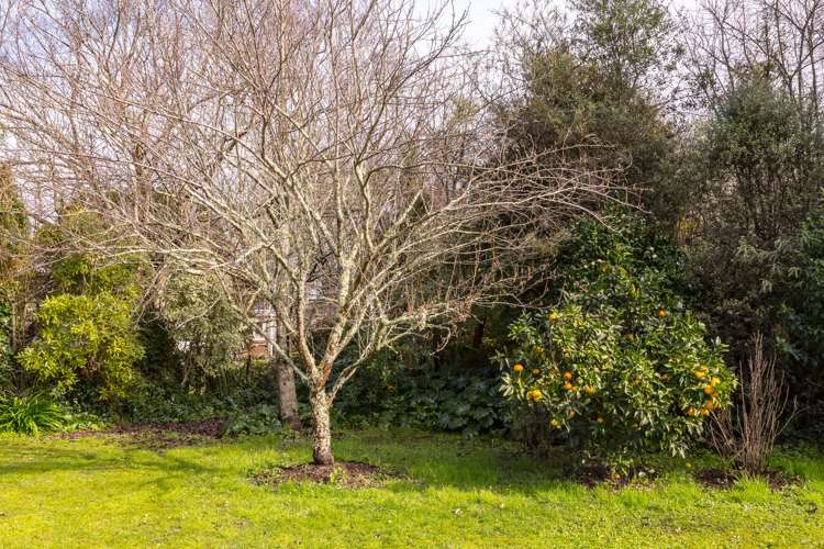 2 Wood Street Greytown_20