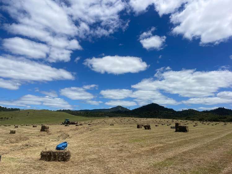 4321 State Highway 1 Mangamuka_28