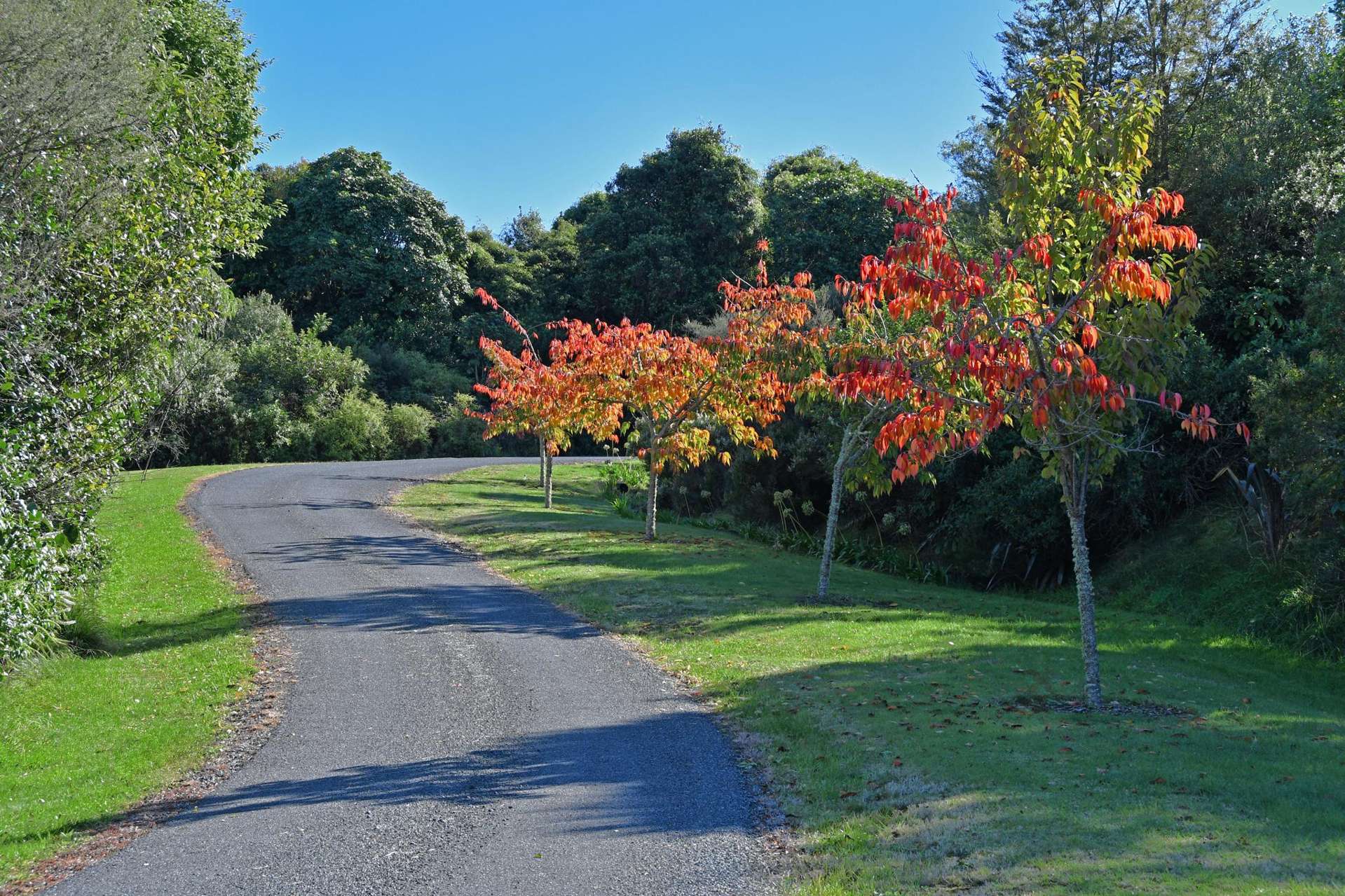 12 Oakdale Drive Kinloch_0