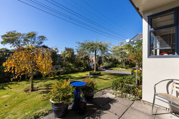 140 Carrington Street Lower Vogeltown_22