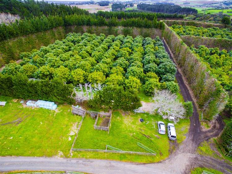 130 Geraghty Maber Road Tuakau_7