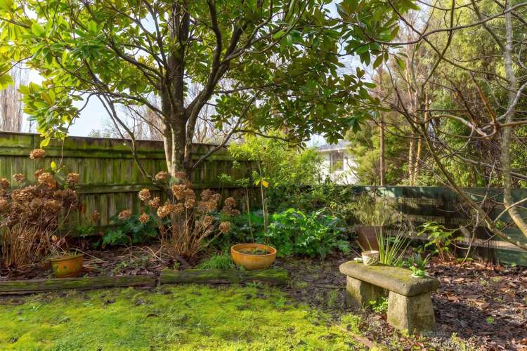 3 Yule Grove Greytown_25
