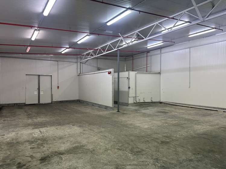 24 Donald Street Kenmure_2