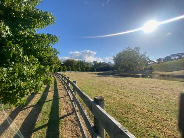 1166 Leigh Road Matakana_3