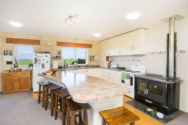 63 Sutherland Road Sanson_6
