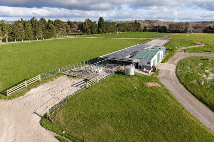 365 Halcrow Road Reporoa_11