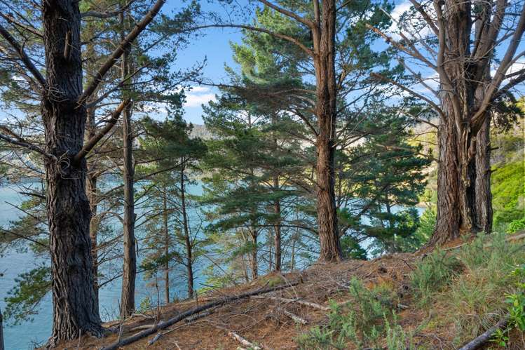 Lot 1 Maraetai Bay Queen Charlotte Sound_8