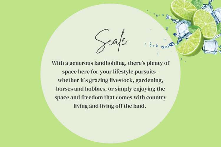 221 Smiths Road Leithfield_21