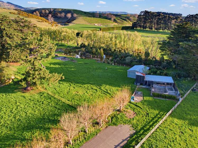34 Forest Hill Road Aokautere_3