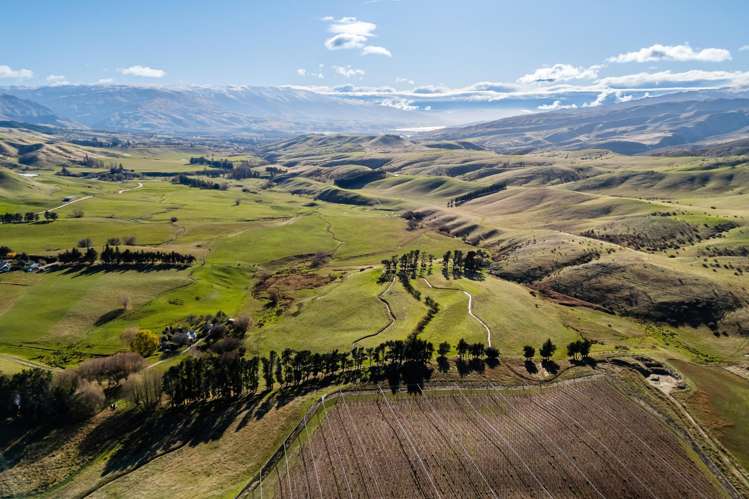 187 Hawksburn Road_5