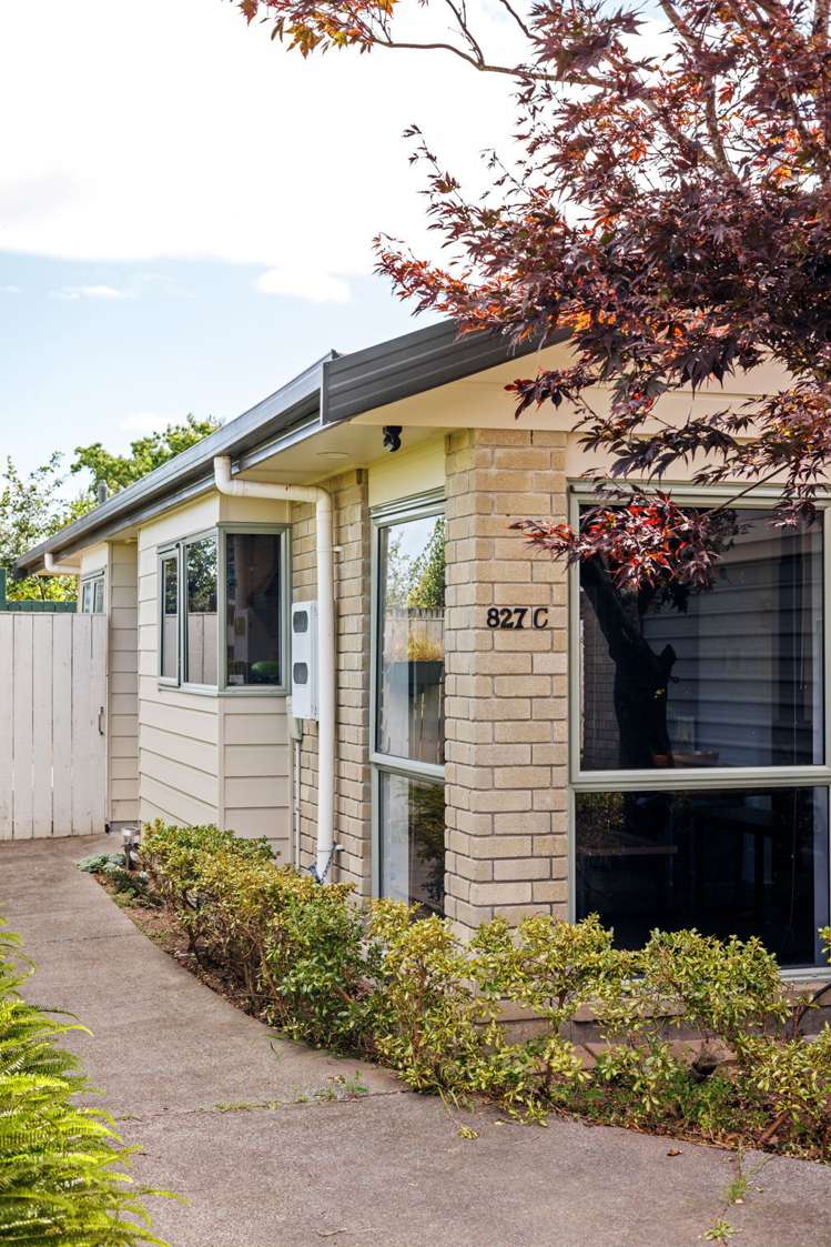 827c Heaphy Terrace Claudelands_1