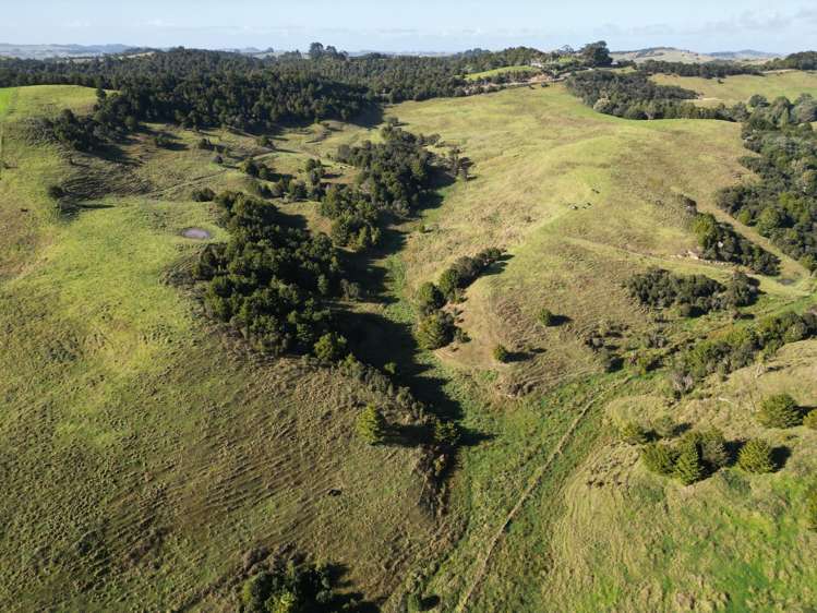 583 Lusk Road Ruawai_14