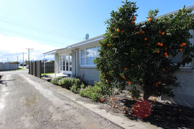 10A Budge Street Blenheim_4