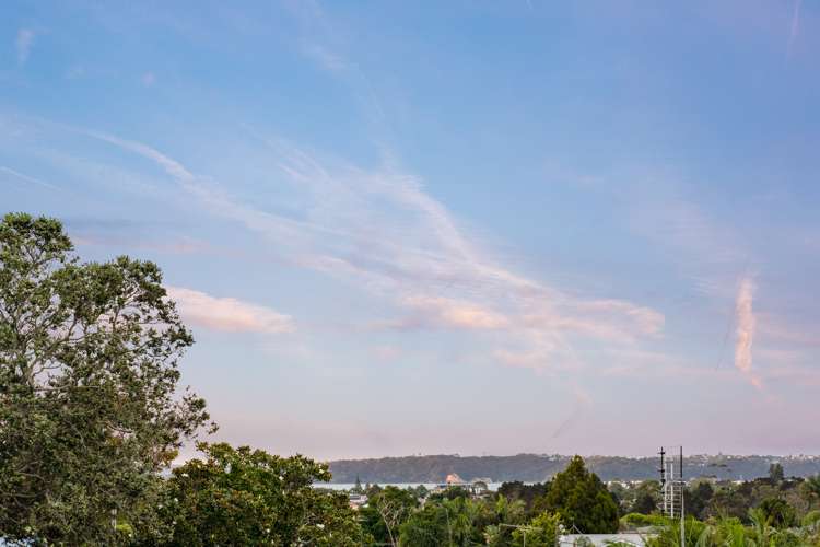 2c Thomas Avenue Mount Albert_13