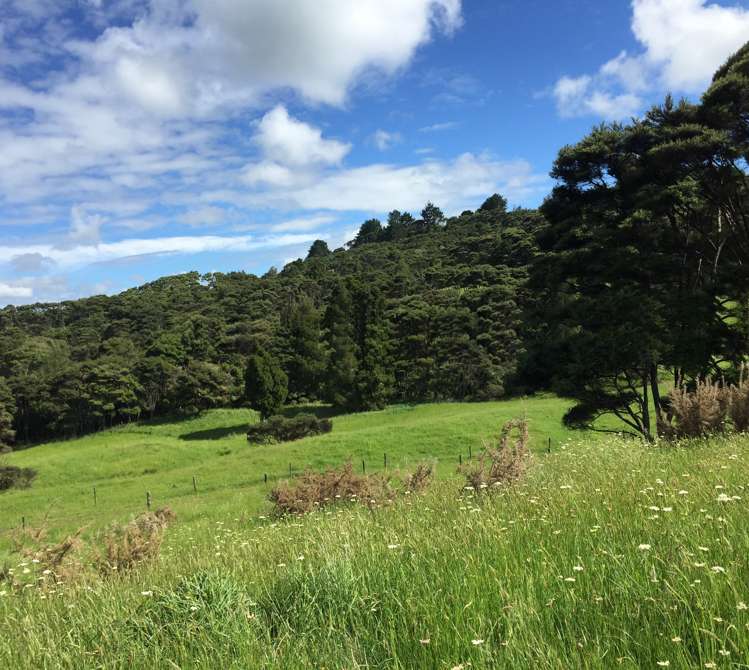 1295 Old North Road Helensville_4