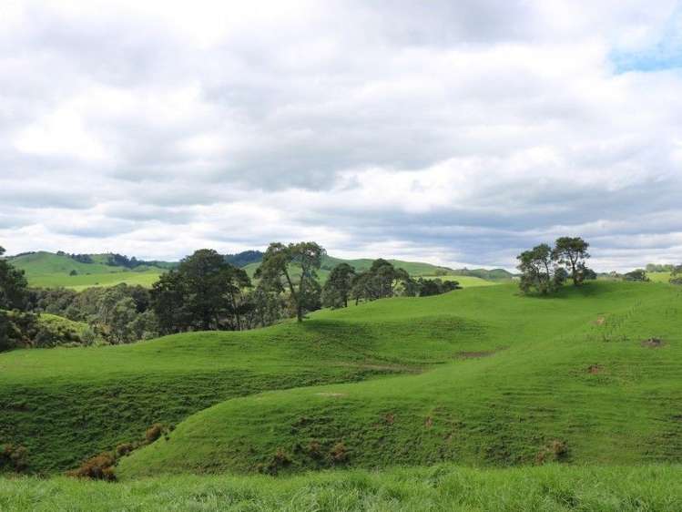 196 Hildreth Road Arapuni_37