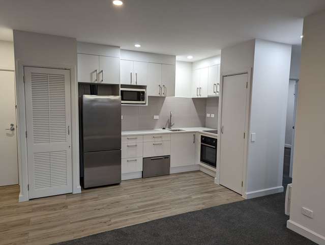 7B/125A Hobson Street Auckland Central_4