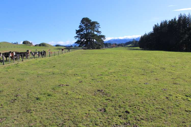 75647 State Highway 2 Norsewood_6