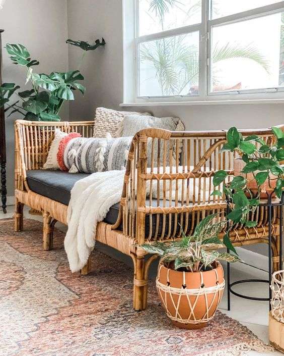 Hanging chair, pot plants in a room.