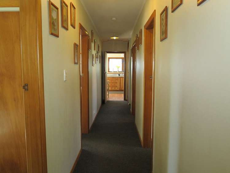 1174 Collingwood-Puponga Kahurangi National Park_8