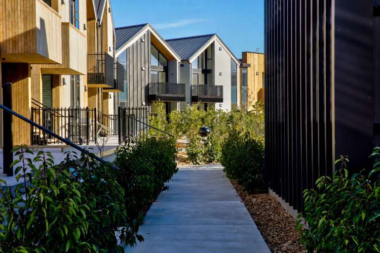 24/2 McKinlay Lane Jacks Point_21