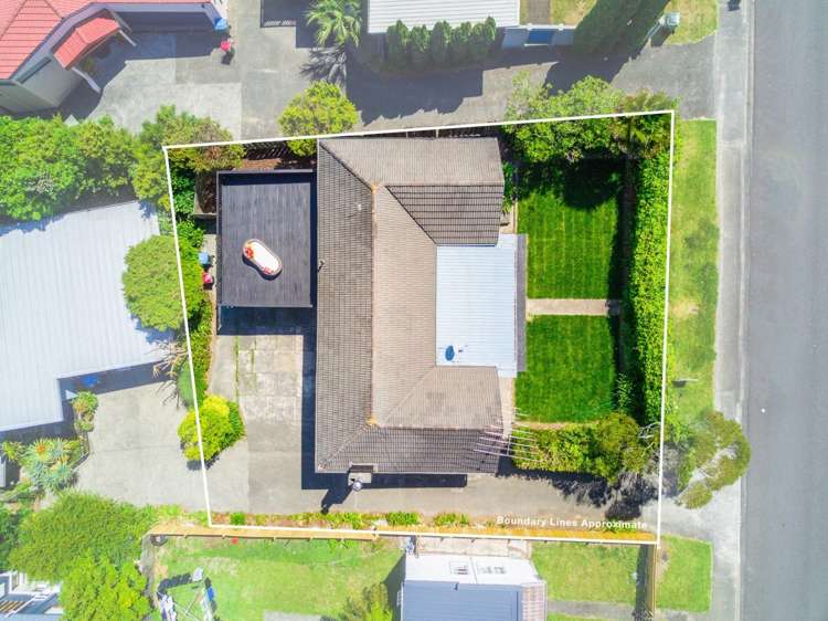 334 Hillsborough Road Hillsborough_3