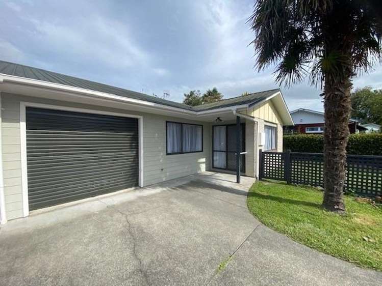 19b Te Aute Road_0