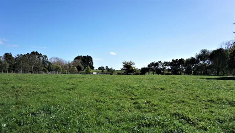 81 Denton Road Levin_18