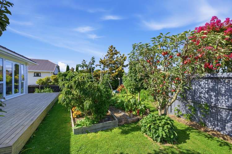 8 Yale Street Spreydon_23