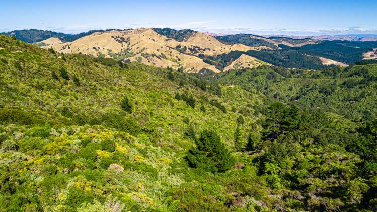 Ngahape Road Masterton_10