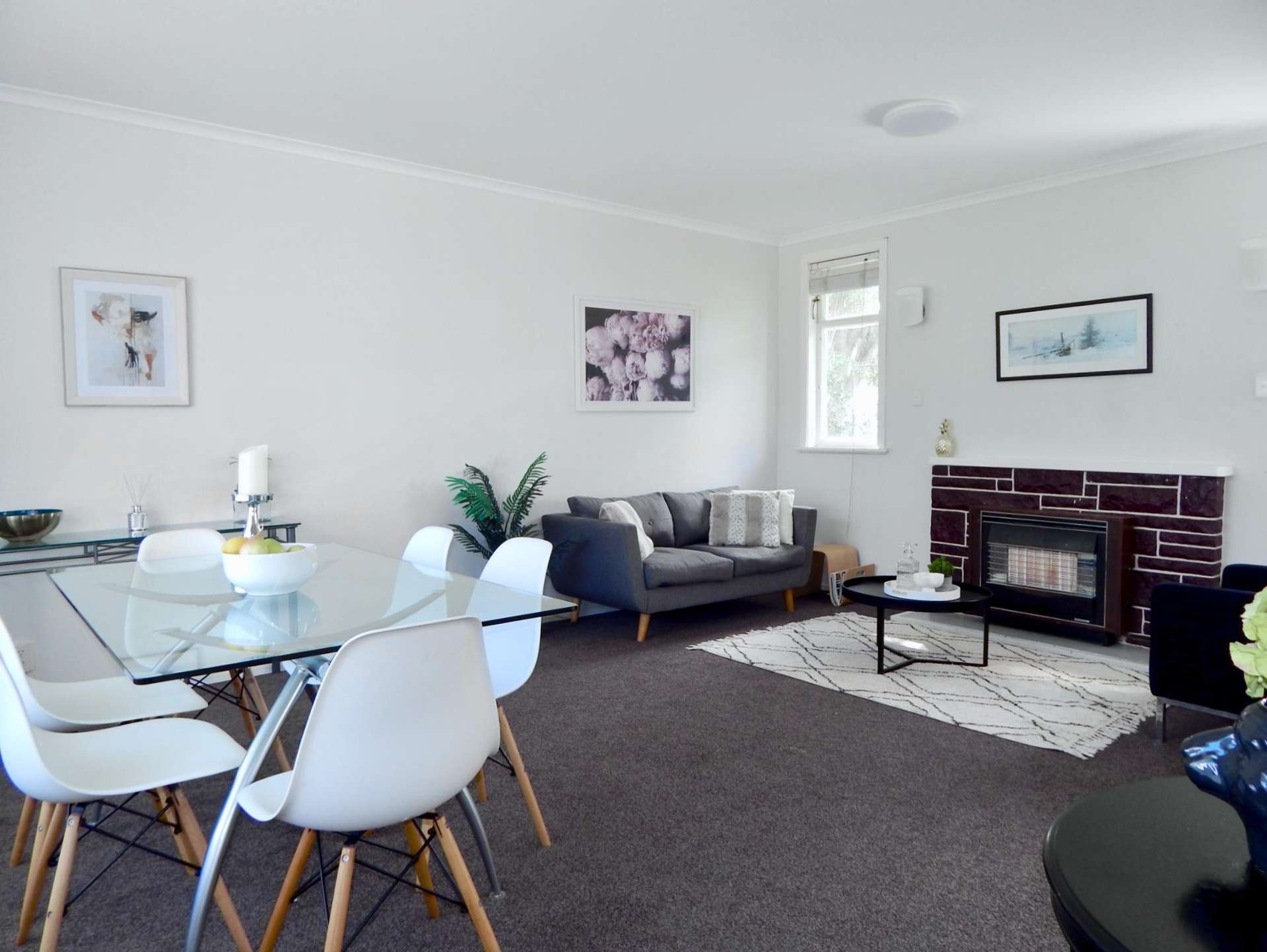51 Camperdown Road Miramar_0