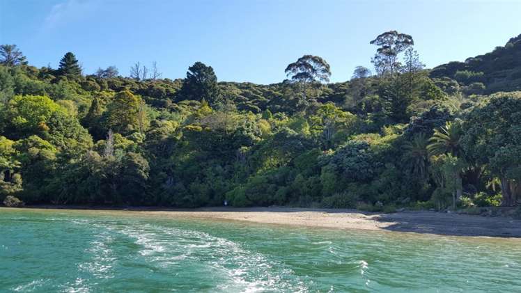 Torea Moua Bay Marlborough_26